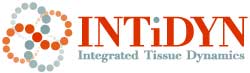 intidyn-logo