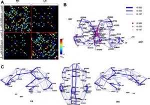 network maps