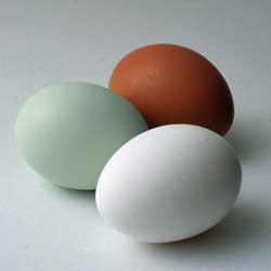 The chicken and egg discussion in FM is a sign of a maturing field that's willing to look at new options