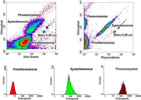 flow-cytometer