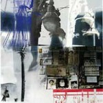 Amazon--Rauschenberg