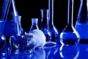 animal-testing