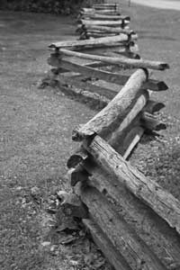 crooked-fence