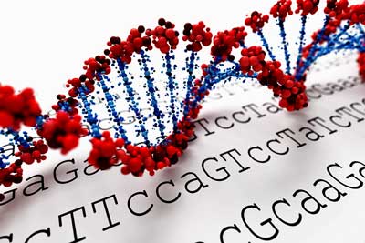 DNA-gattaca