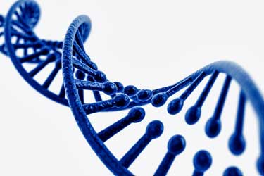 dna