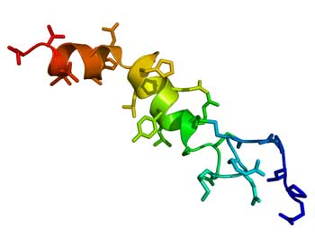 orexin