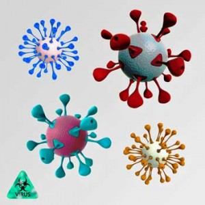 viruses