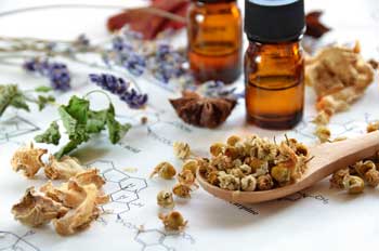 herbs