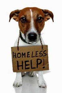 ME/CFS - homeless at the NIH