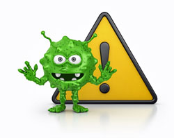 parvovirus