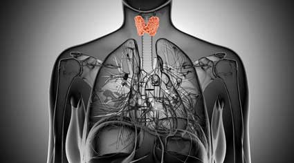 thyroid chronic fatigue syndrome