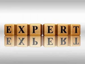 CDC me/cfs experts study