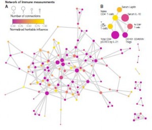 Simply being exposed to CMV produced large immune system shifts 