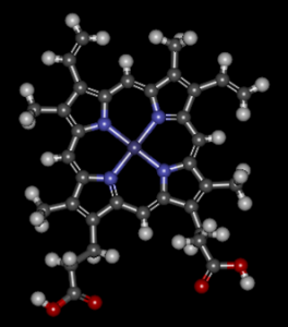 Heme is part of the hemoglobin molecule