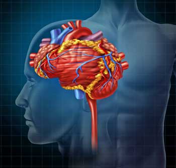 blood vessels me/CFS