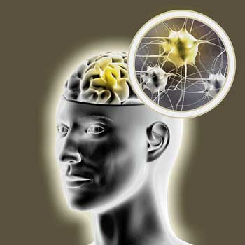 neuroinflammation