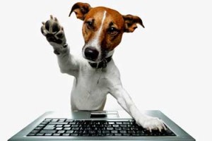 blogging