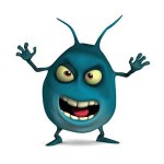 bacteria