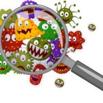 Insect borne illnesses were on the table at Tea Time for Simmaron