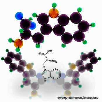 tryptophan