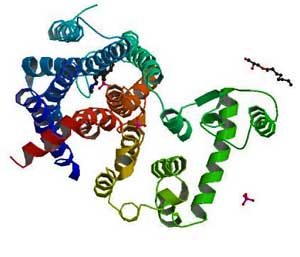 The immune situation in ME/CFS and MS is complicated