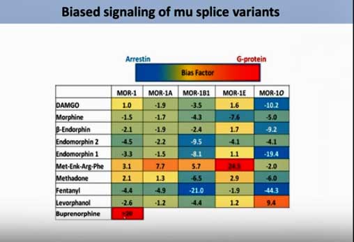 opiate receptors and drugs