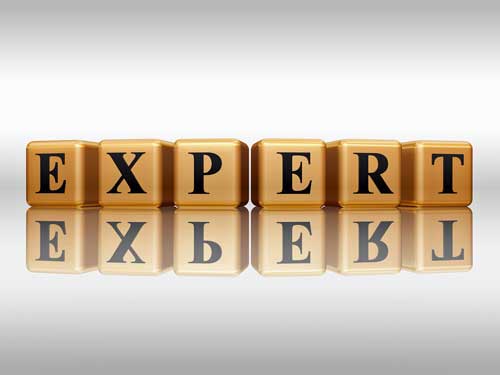 experts