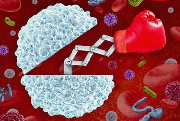 immune system punch out