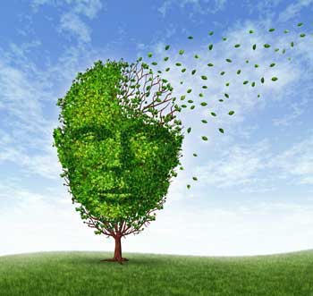 Reversing Alzheimer’s: What It Could Mean for ME/CFS and Fibromyalgia
