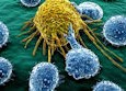 Immune-cells-attacking-cancer-cell