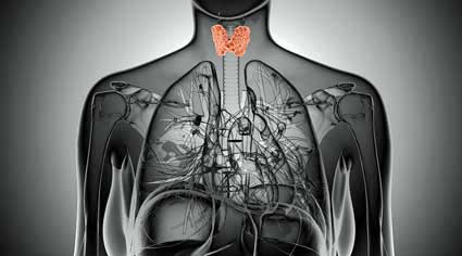 The Thyroid Question in Fibromyalgia and Chronic Fatigue Syndrome (ME/CFS)