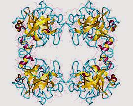 One Gene Many Disorders: Could One Gene Help Explain ME/CFS, FM, POTS, IBS, EDS, IBS and Others