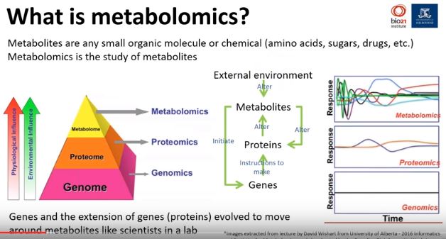 metabolomics