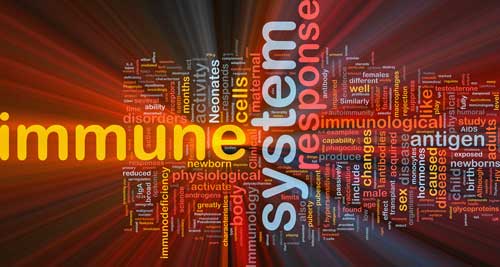 Is Chronic Fatigue Syndrome An Inflammatory Disease? The 2016 IACFS/ME Conference Overviews Pt. II