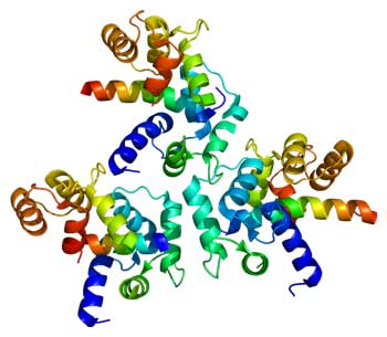Crystalline structure of a calcium ion channel