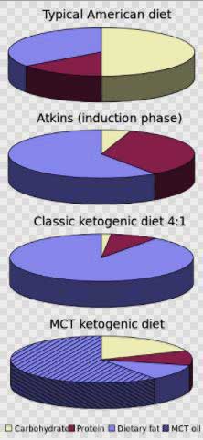 ketogenic vs other diets