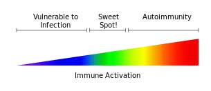 inflammation