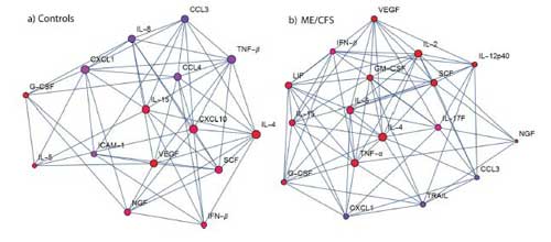 Stanford Exercise Study Shows Different Immune Response in Chronic Fatigue Syndrome (ME/CFS)