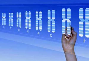 ME/CFS genetic database study