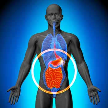 Chronic Fatigue Syndrome (ME/CFS) Study Highlights Energy Issues In Gut Subset