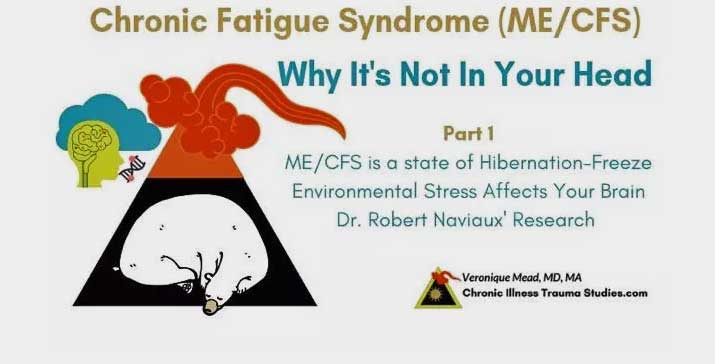 ME/CFS, Naviaux’s Cell Danger Response and a Nervous System Under Threat