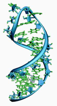Could “Junk DNA” Be Causing Chronic Fatigue Syndrome / Myalgic Encephalomyelitis