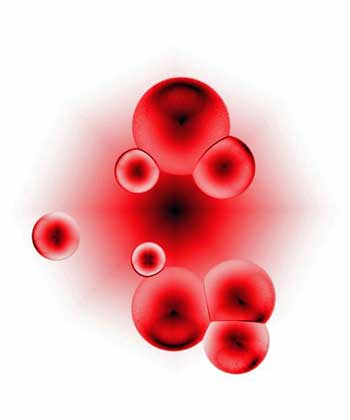 red blood cells 