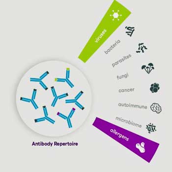 Serimmune diagnostic testing ME/CFS