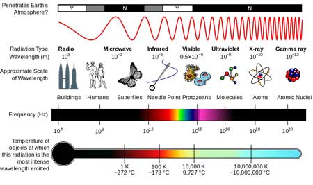 The Hypersensitivity Annals: Susan’s Electromagnetic Radiation Story