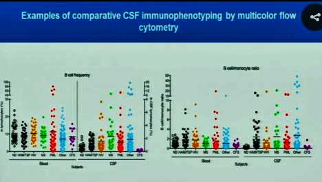 B-cells NIH flow cytometry