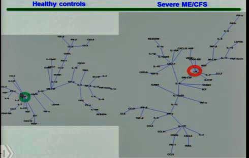 cytokine network hubs Montoya