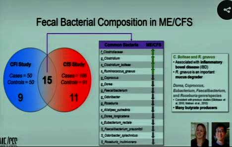 gut bacteria ME/CFS