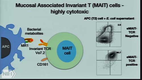 MAIT Oh NIH conference