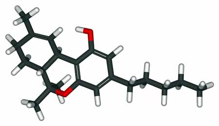 THC - the part of Cannabis which can get you high - has the strongest pain-killing characteristics as well. (THC relieve pain without producing a high)